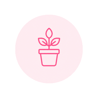 Potted plant